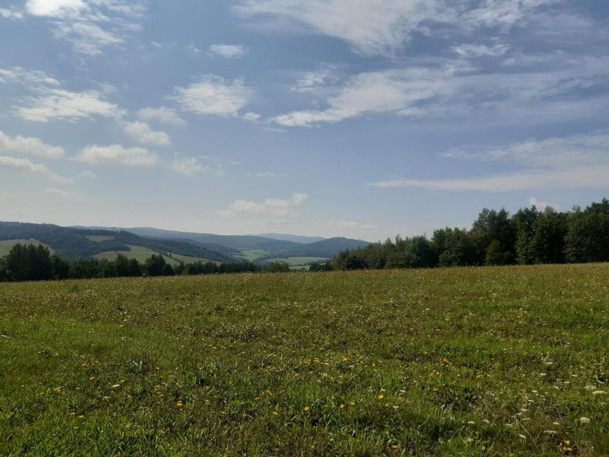 Domek Na Petli Hoczew Bagian luar foto
